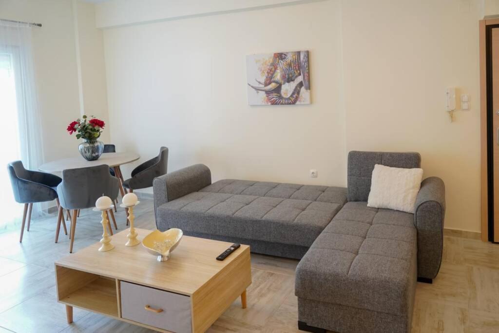 Modern Apartment In The City Center Ioannina Extérieur photo